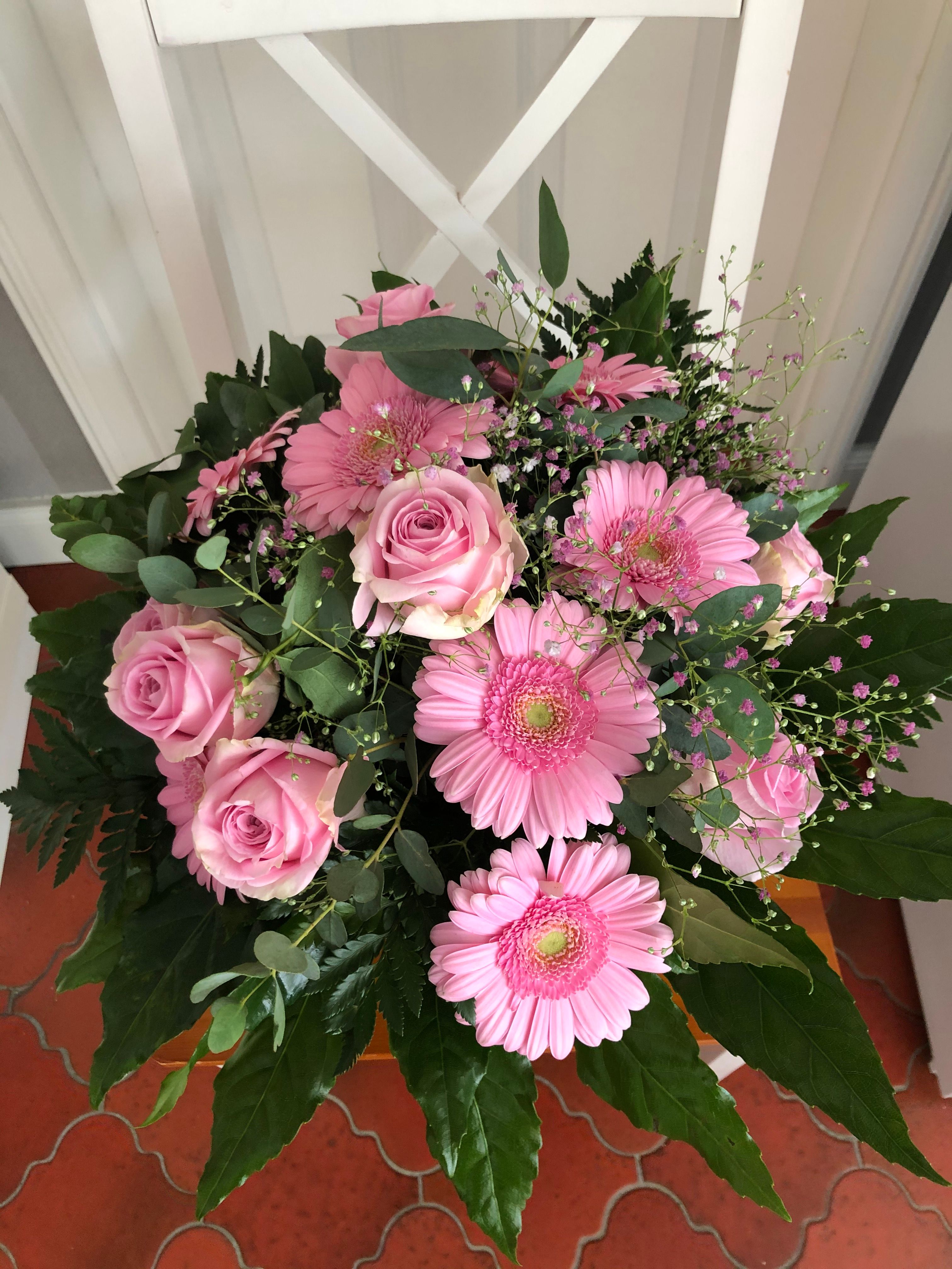 - Bildergalerie aktuelle Floristik